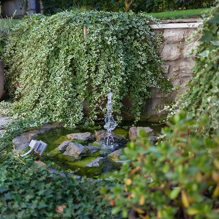 Magnolia * Λιουμπλιάνα