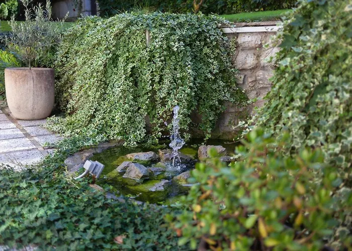 Magnolia * Ljubljana