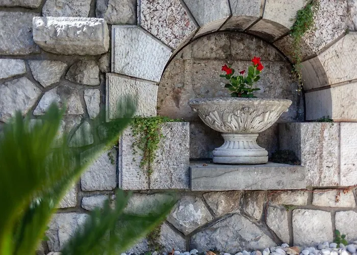 Magnolia * Любляна